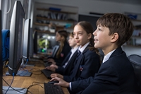 Description: NEW-117