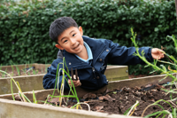 Description: 6-min (1)