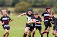 Description: Crackley 0877