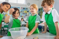 Description: Crescent 0587