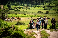 Description: EMBLEY_150623_tomsoperphotography_236