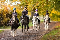 Description: Hanford Prep Ponies