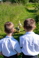 Description: Manor Lodge School -052