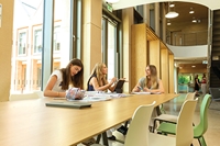 Description: 2826 SHSK 038-r-RGB