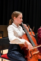 Description: BMS_2979