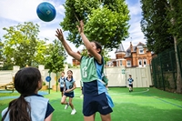 Description: _SP11226